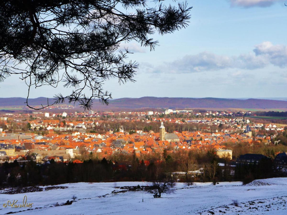 Haus-Wolter Apartman Goslar Kültér fotó