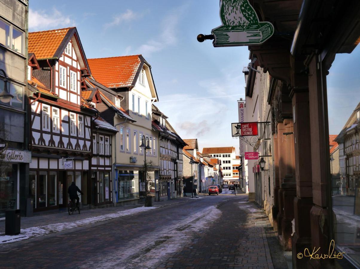 Haus-Wolter Apartman Goslar Kültér fotó