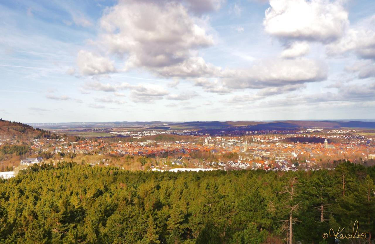 Haus-Wolter Apartman Goslar Kültér fotó
